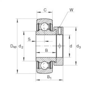 підшипник RAE20-NPP-B INA