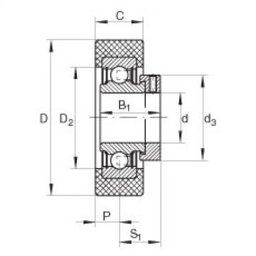 підшипник RCSMB20/65-FA106 INA