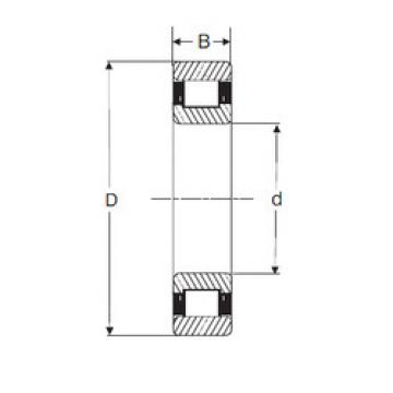 підшипник LRJ 2.1/4 SIGMA