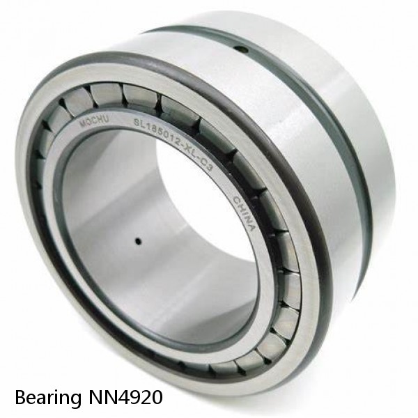 Bearing NN4920