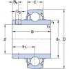 підшипник YAR 206-103-2FW/VA228 SKF #1 small image