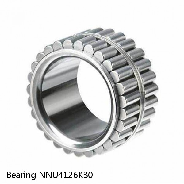 Bearing NNU4126K30 #1 small image