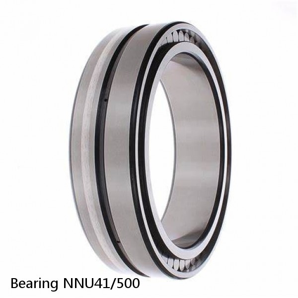 Bearing NNU41/500 #1 small image