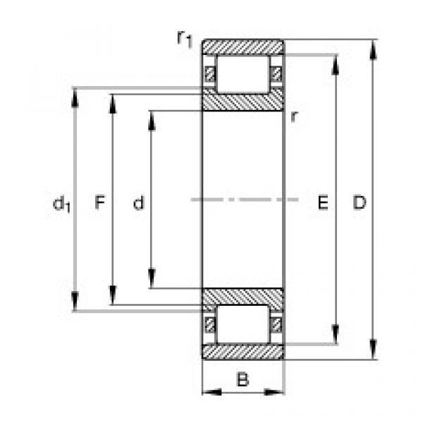 підшипник N238-E-M1 FAG #1 image