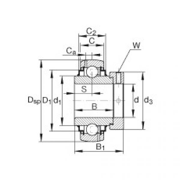 підшипник G1207-KRR-B-AS2/V INA #1 image