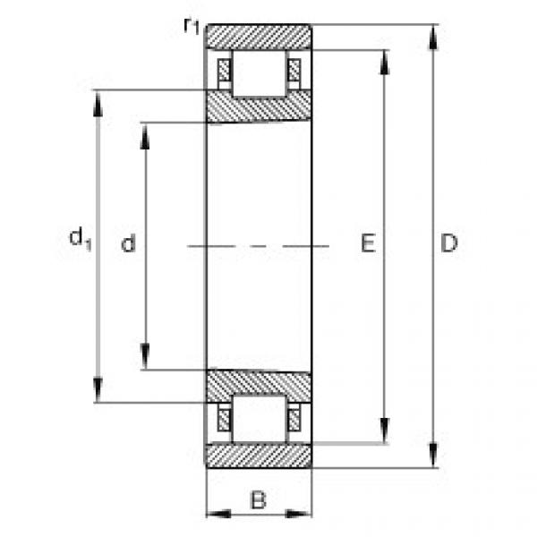 підшипник N1006-K-M1-SP FAG #1 image