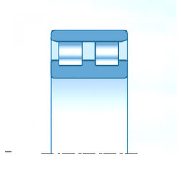 підшипник 2R3061V NTN #1 image