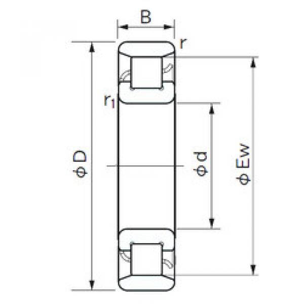 підшипник N 1005 NACHI #1 image