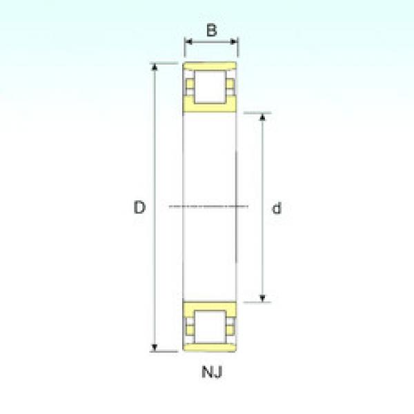 підшипник N 20/1250 ISB #1 image