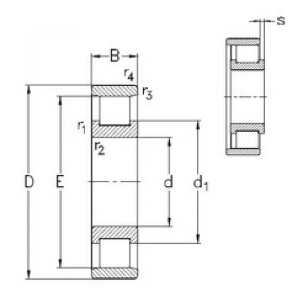 підшипник N219-E-M6 NKE #1 image