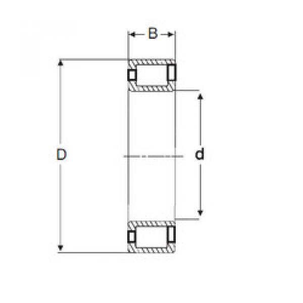 підшипник NCF 2924 V SIGMA #1 image