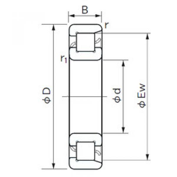 підшипник NF 206 NACHI #1 image