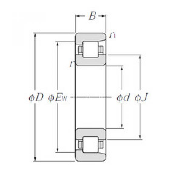 підшипник NF202 CYSD #1 image