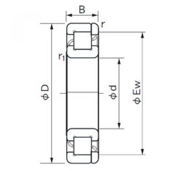 підшипник NP 1011 NACHI #1 image