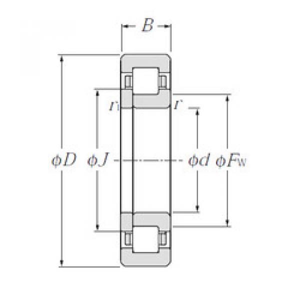 підшипник NUP205E CYSD #1 image