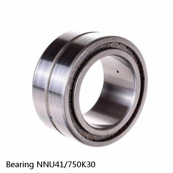 Bearing NNU41/750K30 #1 image